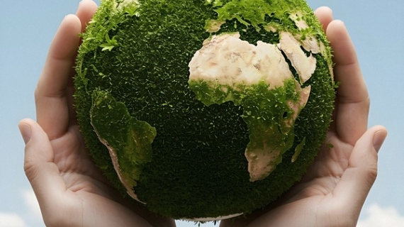 COP30, por qué entender las emociones en México es clave para enfrentar la crisis climática