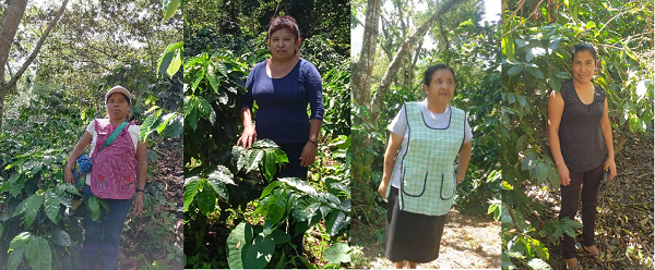 Las mujeres detrás de la industria del café de Starbucks México