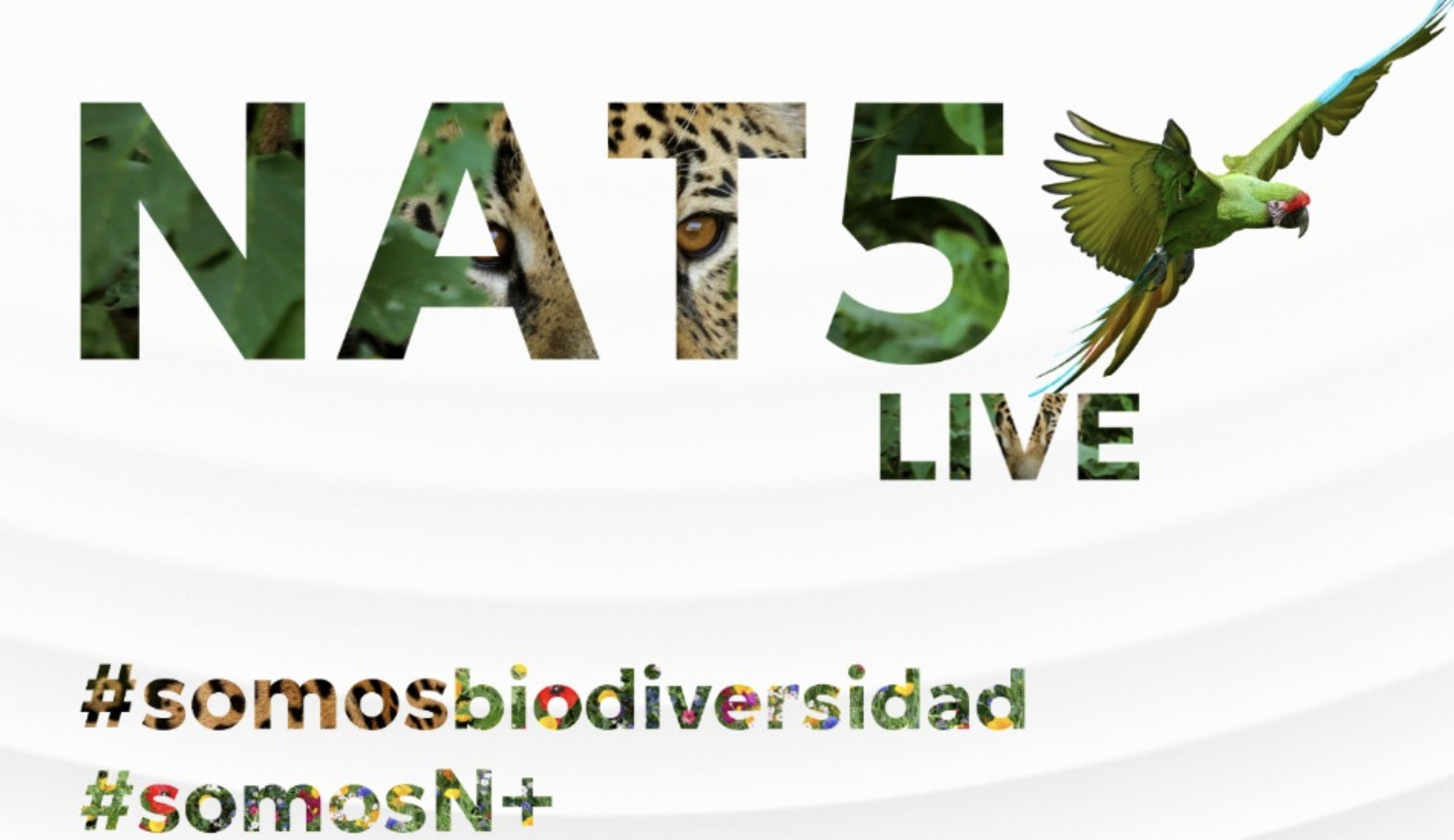 Sostenibilidad
