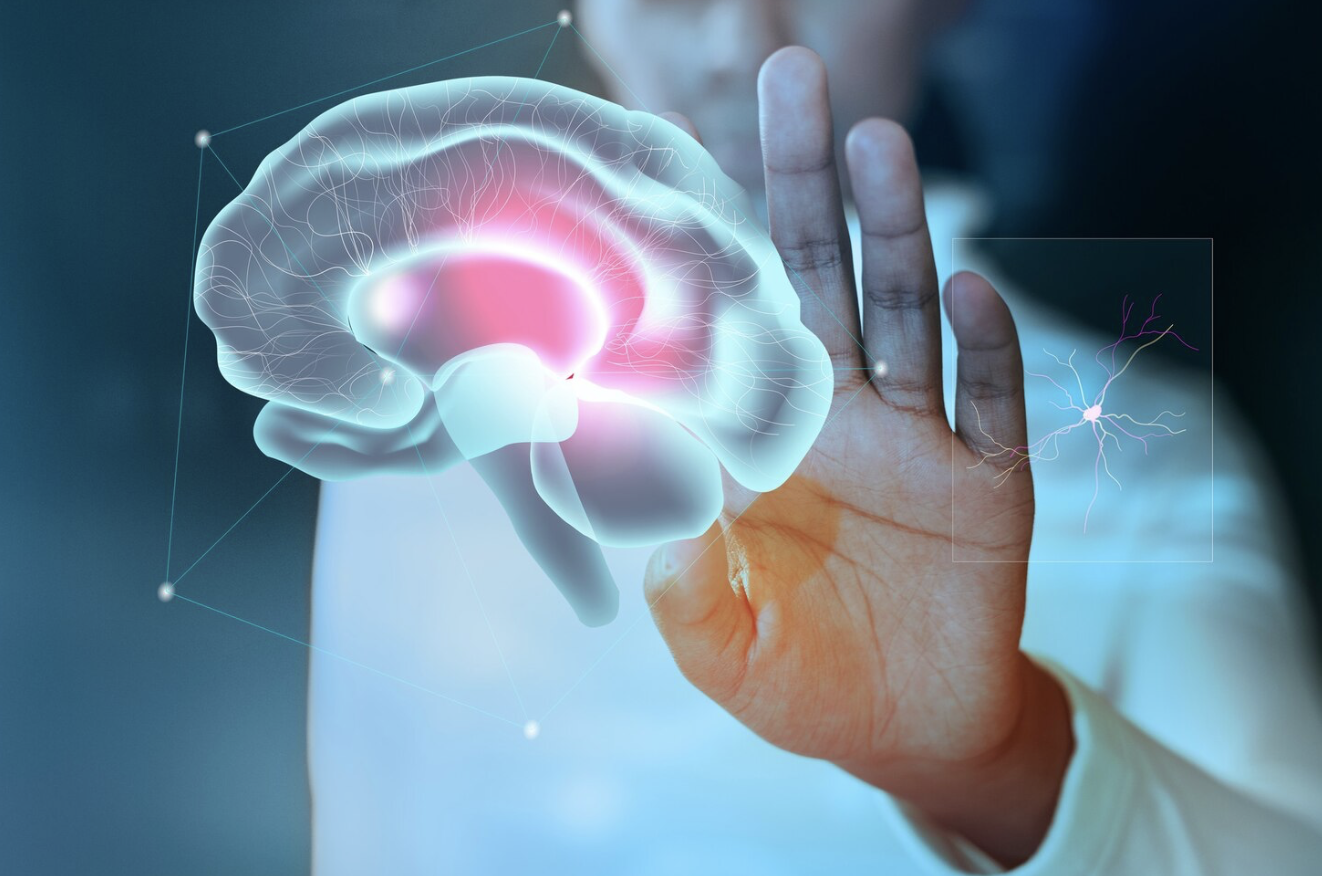 Neurodivergencia