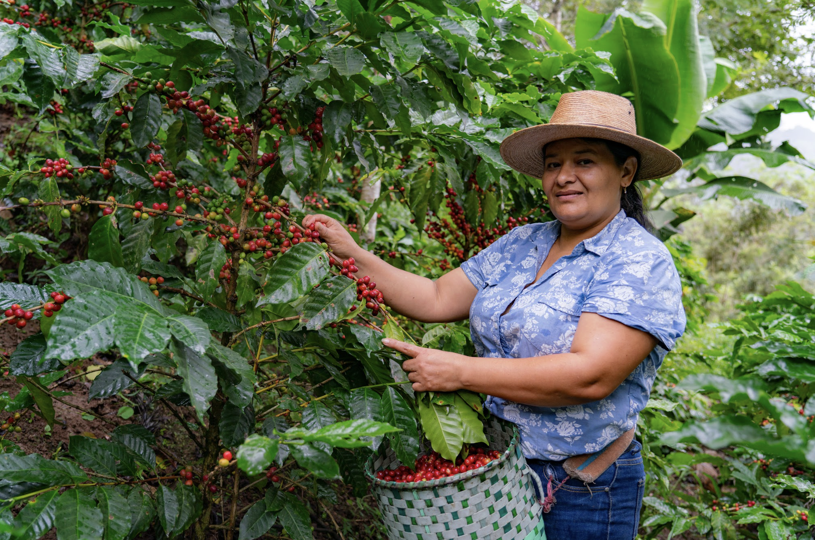 Mujeres Nestlé