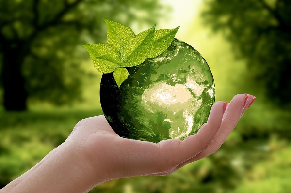 Consumidores en LATAM prefiere productos para el hogar que ahorren energía