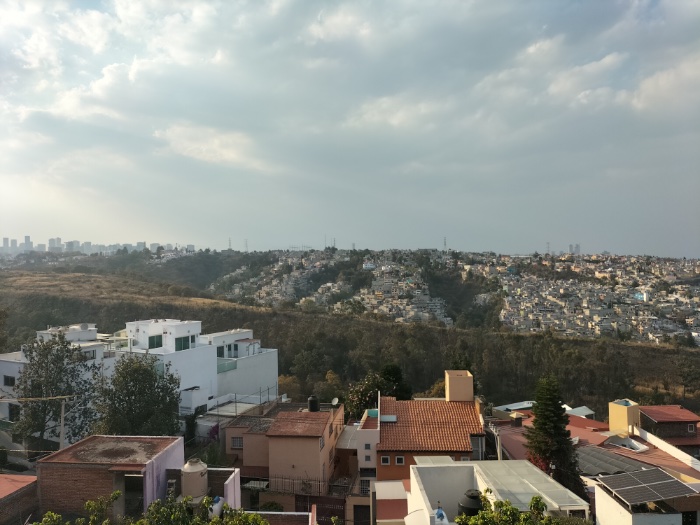 Oppo Reno 6 Lite: una alternativa interesante para los amantes de la fotografía