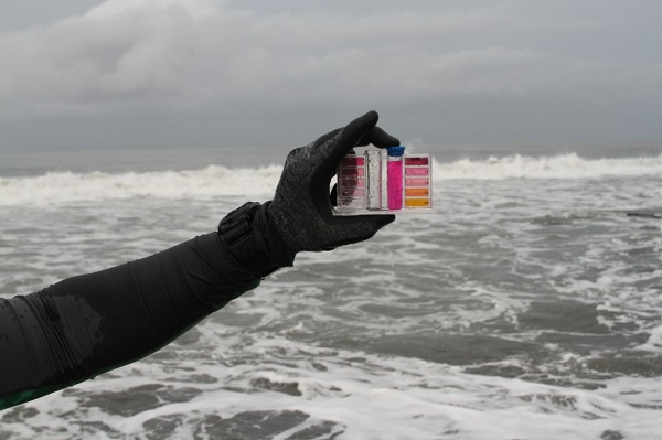 analizaron 2 098 muestras de agua de mar en 290 playas de 75 destinos turísticos en los 17 estados costeros