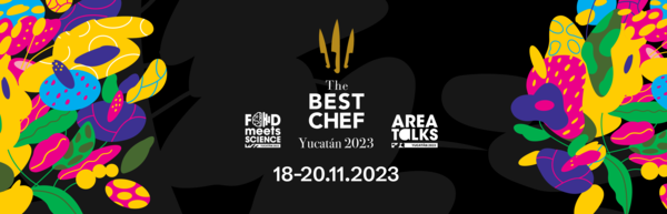 Imagen oficial de The Best Chef