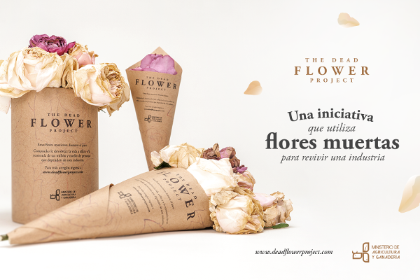 Flores