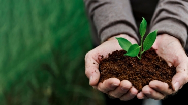 La reforestación debe entenderse como parte de una estrategia integral.