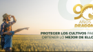 Dragón celebra 90 años impulsando la productividad del campo mexicano. “El Agricultor que sabe mejor cosecha con Dragón.”