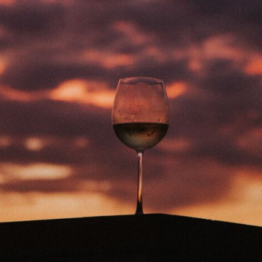 Celebra el Día del Vino Mexicano en Jalisco