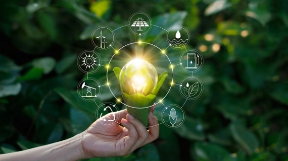 Haz Marketing, Negocios, Estrategia de Comunicación, Responsabilidad Social