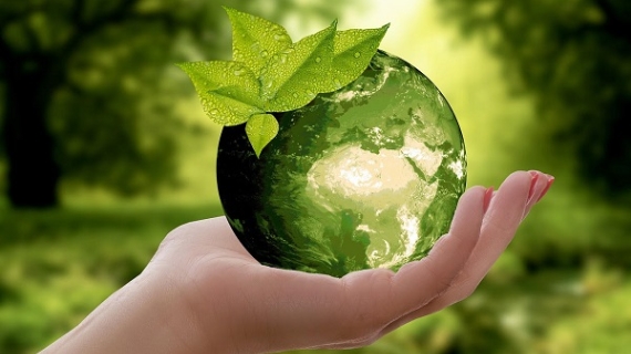  Consumidores en LATAM prefiere productos para el hogar que ahorren energía