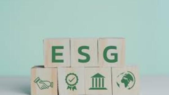 Claves para fortalecer el compromiso empresarial ESG