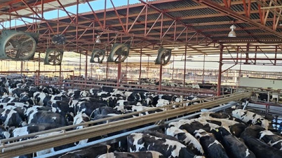  Hecho en México: Producción lechera y seguridad alimentaria