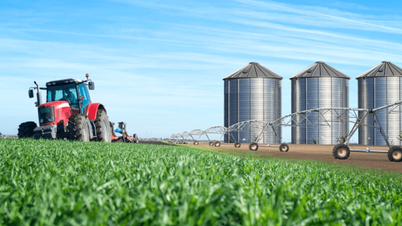Seguridad alimentaria