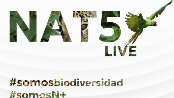Sostenibilidad