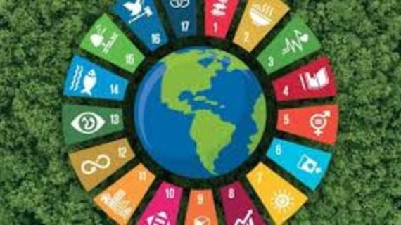 Voluntarios PMI aceleran cumplimiento de la Agenda 2030  Voluntarios de PMI aceleran el cumplimiento de la Agenda 2030 a través de la dirección de proyectos