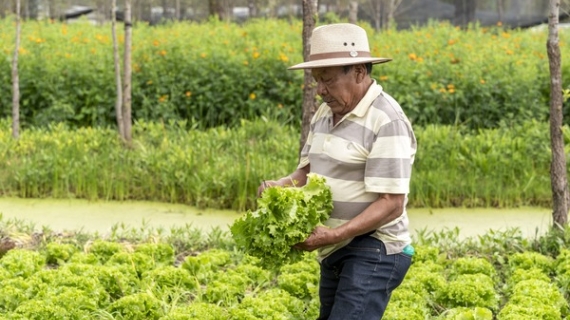 Amazon se suma a la primera edición de México por el Clima para impulsar la sustentabilidad y la acción climática