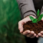 La reforestación debe entenderse como parte de una estrategia integral.