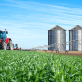 Seguridad alimentaria