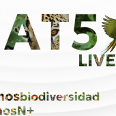 Sostenibilidad