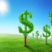 Valor del mercado sostenible: 15 MMD - 7 de cada 10 empresas ya trabajan en este punto