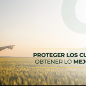 Dragón celebra 90 años impulsando la productividad del campo mexicano. “El Agricultor que sabe mejor cosecha con Dragón.”